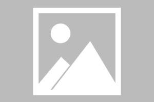 5月5日富时中国A50指数期货现涨0.3%