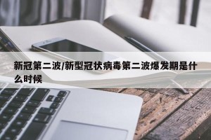 新冠第二波/新型冠状病毒第二波爆发期是什么时候