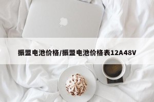 振盟电池价格/振盟电池价格表12A48V