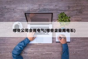 哪些公司会用电气(哪些企业用电石)