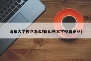 山东大学校企怎么样(山东大学校属企业)