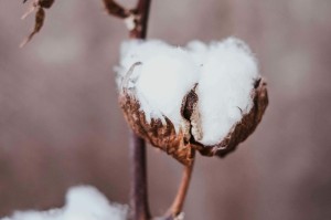 期货与rcep合约如何对接？这种对接对经济发展有何意义？